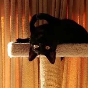 Meet your Posher, Leslie